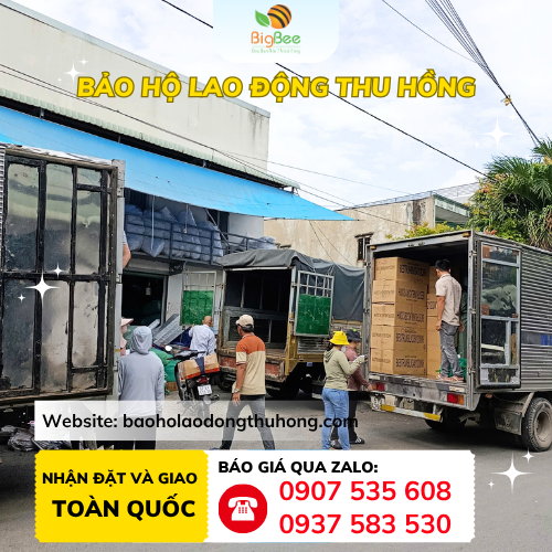 Thu Hồng bán 240 đôi giày Jogger Bestrun giá sỉ tận gốc TPHCM Thu Hồng bán 240 đôi giày Jogger Bestrun giá sỉ tận gốc TPHCM