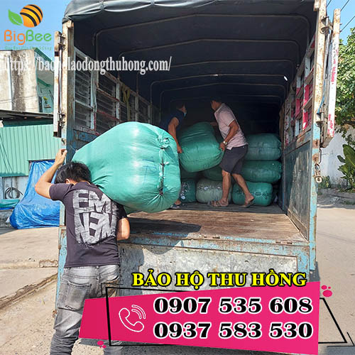 Thu Hồng chuyên bán giẻ lau cân ký, bao tay miễn ship TPHCM