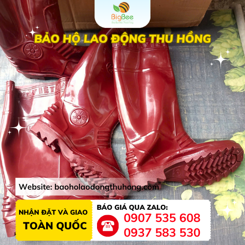 Thu Hồng chuyên sỉ ủng bảo hộ Việt Mã tại TPHCM Thu Hồng chuyên sỉ ủng bảo hộ Việt Mã tại TPHCM