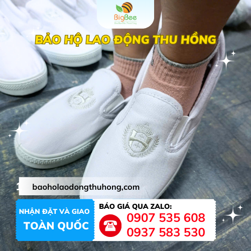 Công ty Thu Hồng – Nhà phân phối giày Asia nữ màu trắng uy tín cho đại lý, công ty Thu Hồng - đại lý phân phối giày Asia nữ màu trắng giá rẻ
