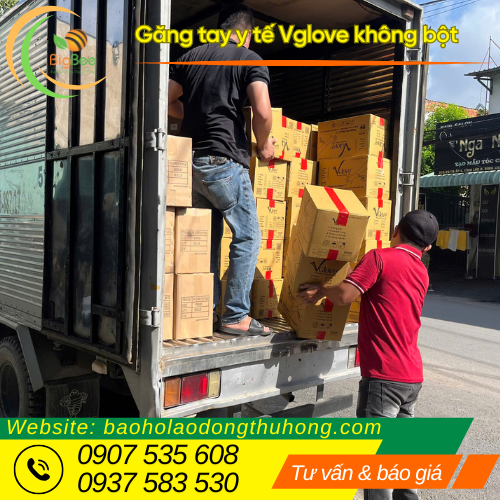 Thu Hồng đi giao trăm thùng găng tay y tế Vglove không bột miễn phí Thu Hồng đi giao trăm thùng găng tay y tế Vglove không bột miễn phí