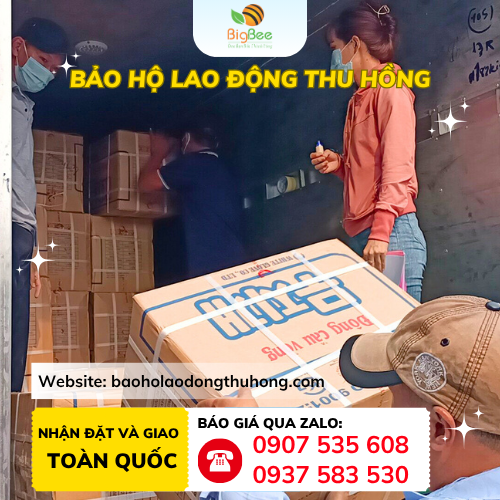 Giao hàng găng tay Đông Cầu Vồng size M thùng 500 đôi Thu Hồng giao hàng găng tay Đông Cầu Vồng size M thùng 500 đôi