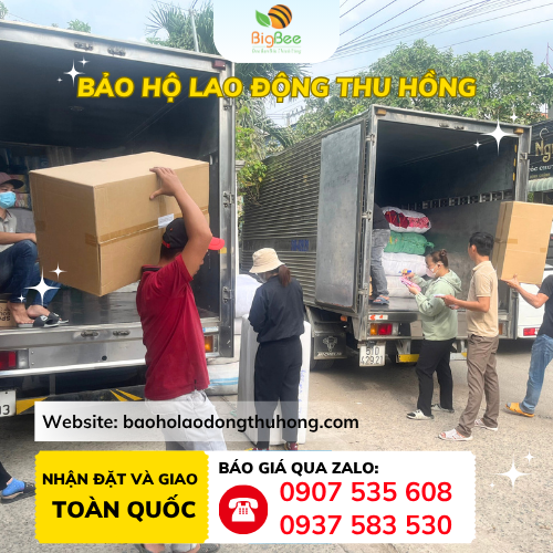 Thu Hồng giao sỉ nón con sâu y tế BISOU toàn quốc Thu Hồng giao sỉ nón con sâu y tế BISOU toàn quốc