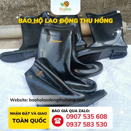 Thu Hồng - Kho sỉ ủng bảo hộ Thuỳ Dương màu đen giá gốc rẻ Thu Hồng - Kho sỉ ủng bảo hộ Thuỳ Dương màu đen giá gốc rẻ