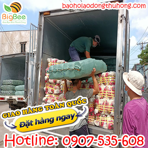 Thu Hồng lên hàng bao tay nhúng nhựa buổi sáng
