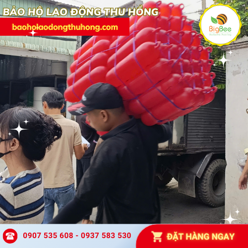 Thu Hồng mua bán sỉ phao hai con cá làm bè tại TPHCM Thu Hồng mua bán sỉ phao hai con cá làm bè tại TPHCM