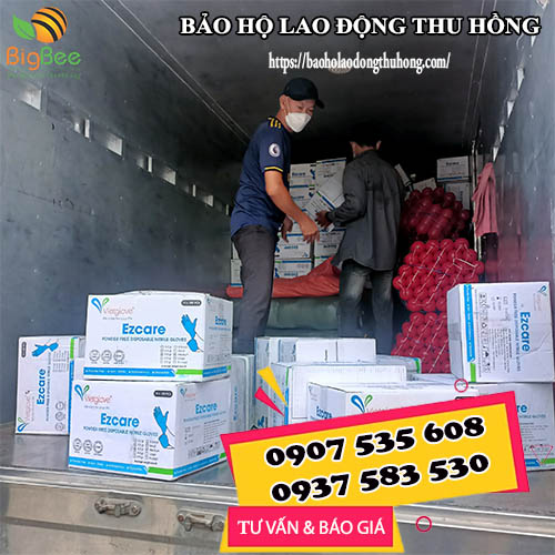 Thu Hồng nhận phân phối găng tay y tế nitrile Ezcare toàn quốc Thu Hồng nhận phân phối găng tay y tế nitrile Ezcare toàn quốc