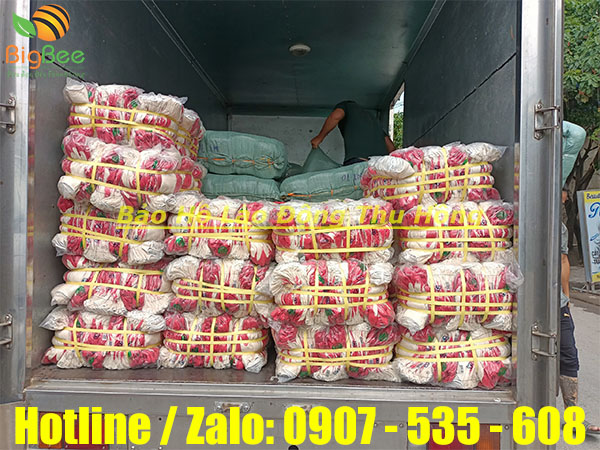 thu hồng nhập kho 50000 đôi bao tay len nhúng nhựa đỏ 01
