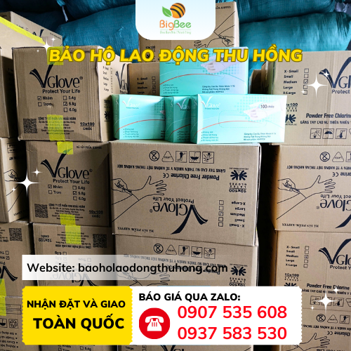 Thu Hồng - Nơi mua găng tay cao su y tế không bột Vglove rẻ nhất Thu Hồng - Nơi mua găng tay cao su y tế không bột Vglove rẻ nhất