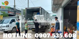 Giao số lượng lớn bao tay len, giẻ lau màu cho khách ở Q1