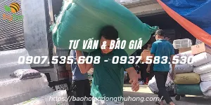 Bán buôn bao tay sợi poly 50g giá rẻ