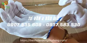 Cung cấp bao tay vải trắng T5 tại TPHCM