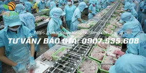 Bỏ sỉ nón bảo hộ lao động các loại giá rẻ tại Bình Chánh