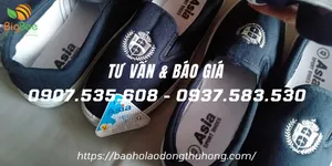 Bán giày vải Asia không dây giá sỉ rẻ nhất