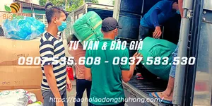 Đi đơn giẻ lau, bao tay muối tiêu 70g cho Công ty Quang Huy