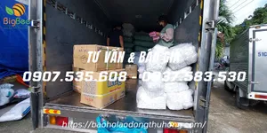 Lên xe 20 thùng găng tay cao su Đông Cầu Vồng