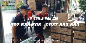 Freeship giao găng tay y tế TTGloves, găng tay len TPHCM