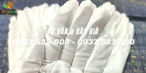 Bán sỉ găng tay thun co giãn L+4 giá rẻ