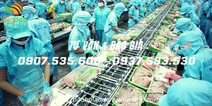 Sỉ rẻ nón thủy sản có khẩu trang miễn phí giao các quận huyện