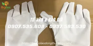 Nơi cung cấp bao tay PET giá rẻ tại xưởng