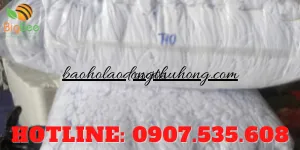 Bao tay thun trắng T10 giá bao nhiêu?