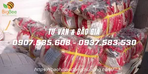 Giao 20 bao bao tay len nhúng nhựa đi tỉnh Đắk Lắk