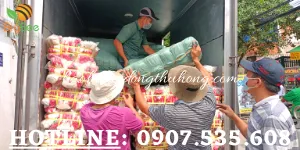Nhập kho 50000 đôi bao tay len nhúng nhựa đỏ