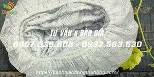 Chuyên sỉ mũ vải lưới trùm tóc công nhân giá rẻ