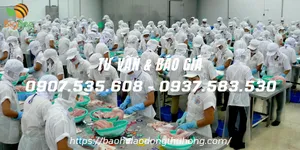 Nhà cung cấp mũ thủy sản màu trắng giá sỉ rẻ tại TPHCM