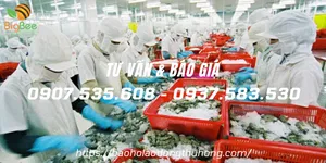 Nón trùm đầu thủy sản giá sỉ rẻ nhất TPHCM