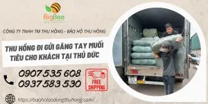 Thu Hồng đi gửi găng tay muối tiêu cho khách tại Thủ Đức