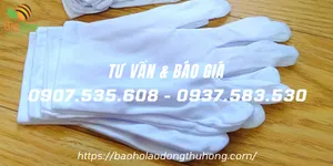 Bán sỉ bao tay thun trắng mỏng T8+1 giá rẻ