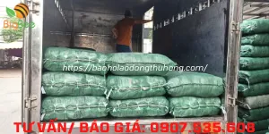 Thu Hồng ship bao tay bảo hộ cho khách ở Bình Thạnh