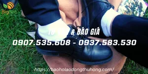 Chuyên sỉ vớ cotton trắng co giãn, thoáng mát giá rẻ số 1