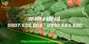 Xuất kho mũ nón bảo hộ đi Dĩ An, Bình Dương