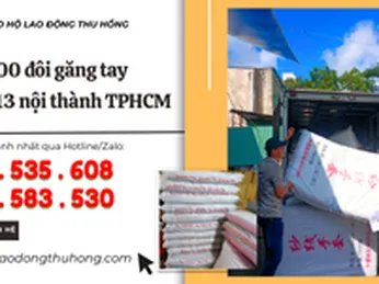 Soạn đơn đi giao sỉ 7000 đôi găng tay thun kim 13 nội thành TPHCM miễn phí