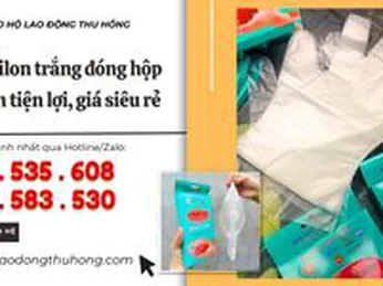 Bao tay nilon trắng dùng một lần giá rẻ