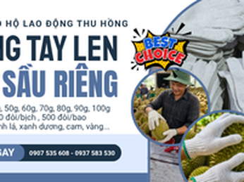 Mua găng tay len sợi hái sầu riêng ở đâu giá rẻ?