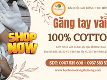 Găng tay cotton màu trắng giá rẻ