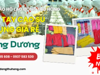 Găng tay cao su gia dụng Hướng Dương chống hoá chất size 6-7-8-9