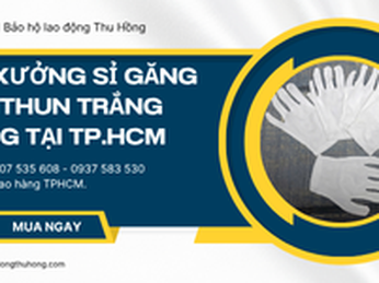 Tìm xưởng sỉ găng tay thun trắng mỏng giá tốt TPHCM