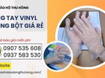 Găng tay Vinyl không bột giá rẻ