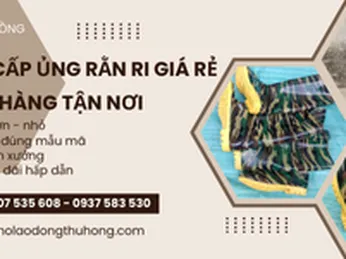 Cung cấp ủng rằn ri đế vàng giá rẻ - giao hàng tận nơi
