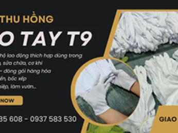 Nơi bán bao tay vải T9 số lượng lớn giá sỉ tận xưởng