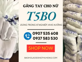 Nhà sản xuất găng tay T5BO giá sỉ rẻ