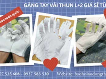 Găng tay vải thun L+2 giá sỉ chỉ từ 500 đôi - hàng sẵn kho TPHCM