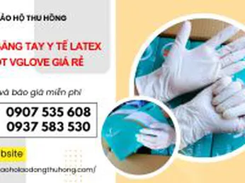 Bán găng tay y tế Latex có bột Vglove giá rẻ