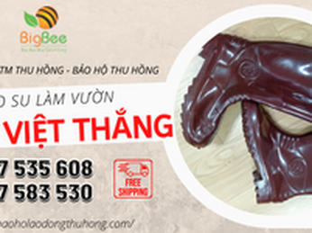 Cung cấp giá rẻ ủng nhựa nâu Việt Thắng làm vườn tại TPHCM