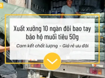 Xuất xưởng 10 ngàn đôi bao tay bảo hộ muối tiêu 50g