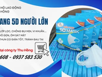 Khẩu trang 5D người lớn giá rẻ hộp 10 cái